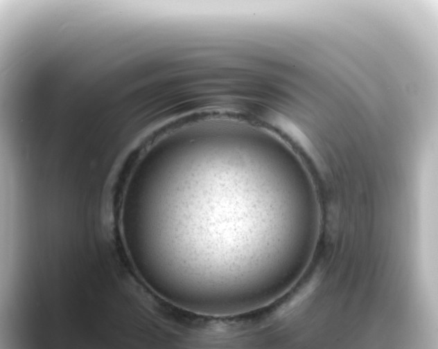 X0000089450923200706221244
