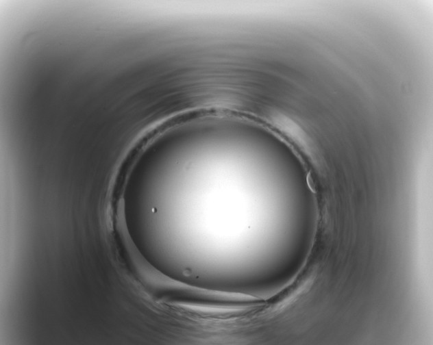X0000089450924200706221244