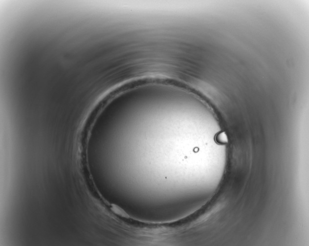 X0000089450926200706221244