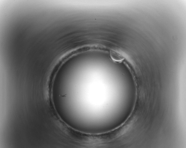 X0000089450927200706221244
