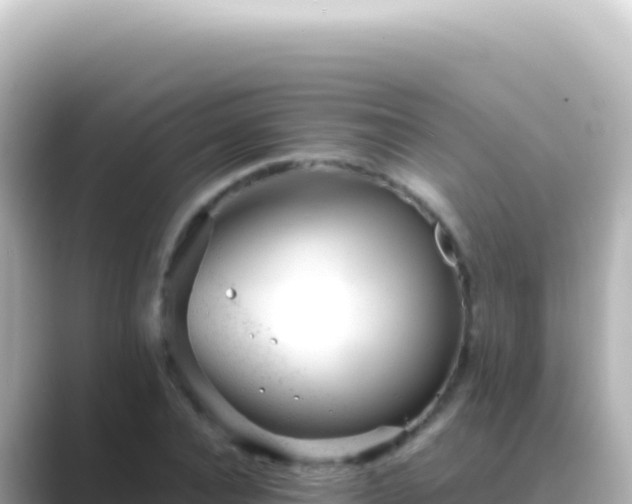 X0000089450928200706221244