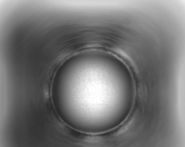 X0000089450929200706221244