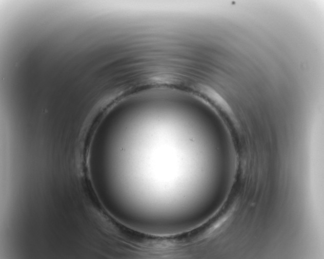 X0000089450930200706221244