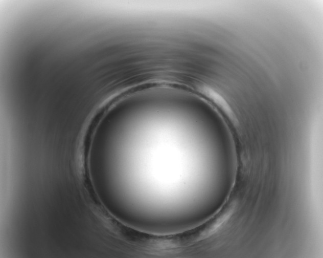 X0000089450931200706221244