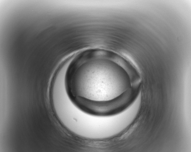 X0000089450932200706221244