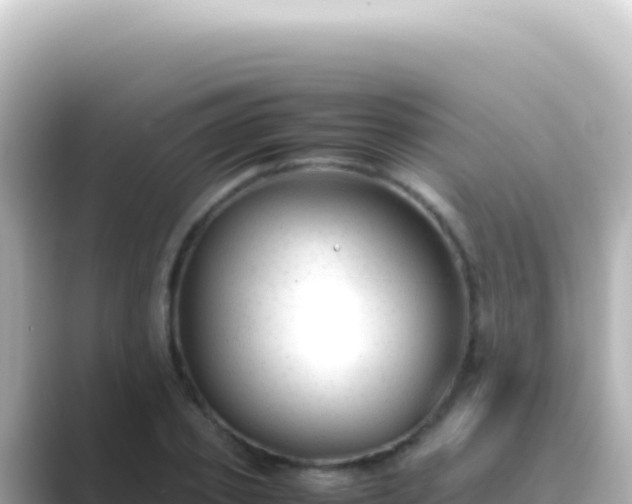 X0000089450933200706221244