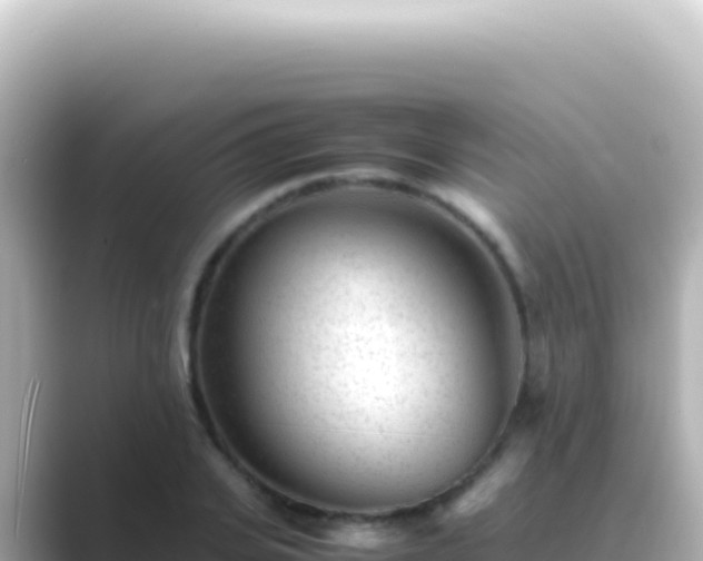 X0000089450935200706221244