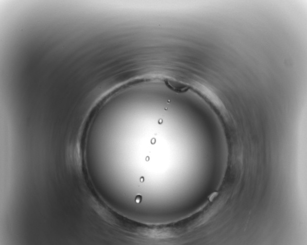 X0000089450936200706221244