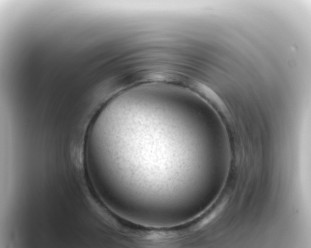X0000089450938200706221244