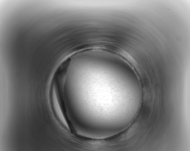 X0000089450939200706221244