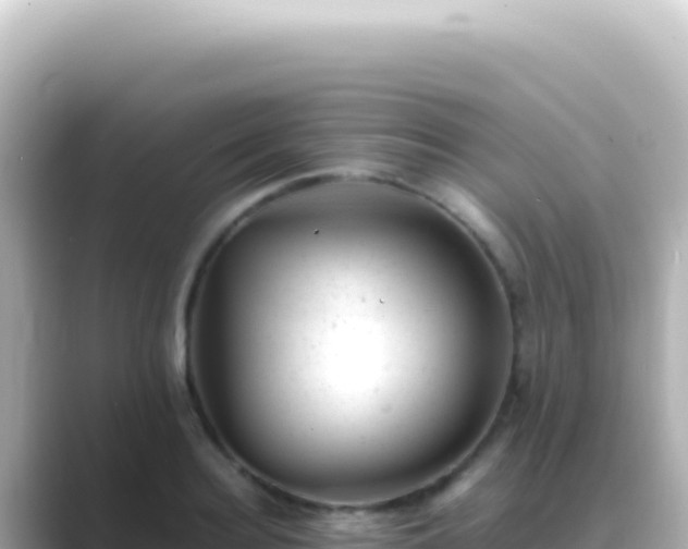 X0000089450940200706221244