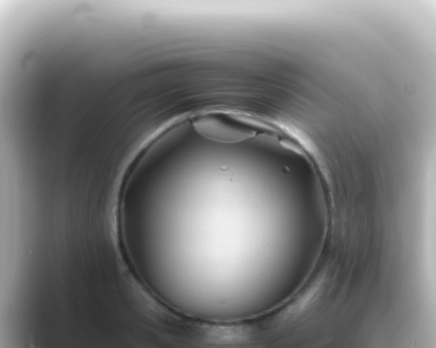 X0000089450941200706221244