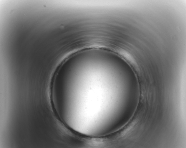 X0000089450942200706221244