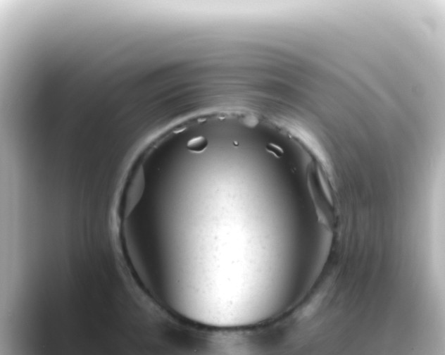 X0000089450944200706221244