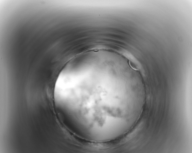 X0000089450945200706221244