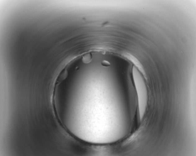X0000089450946200706221245