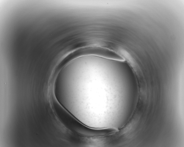 X0000089450948200706221245