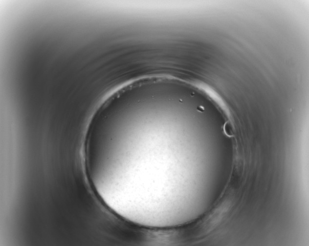 X0000089450951200706221245