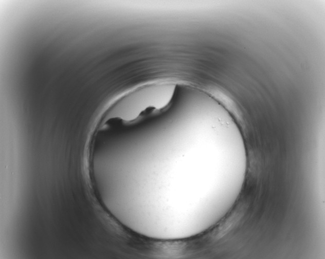 X0000089450952200706221245