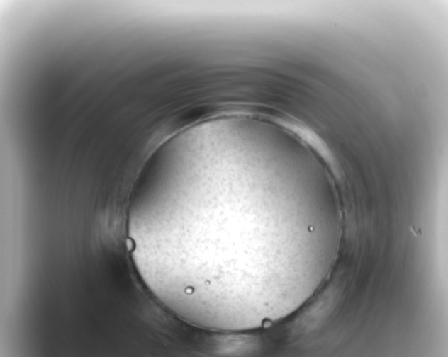 X0000089450953200706221245