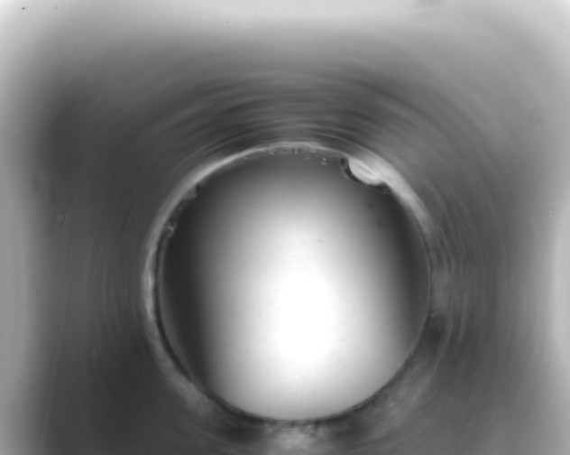 X0000089450955200706221245