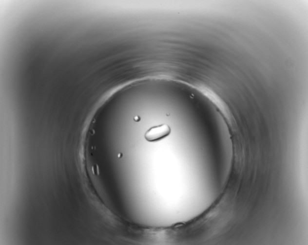 X0000089450956200706221245