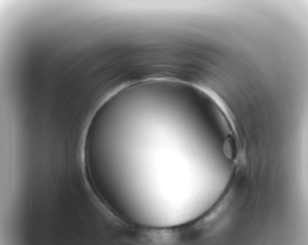 X0000089450957200706221245