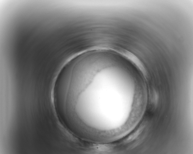 X0000089450958200706221245