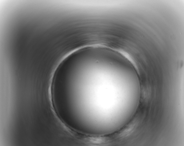 X0000089450959200706221245
