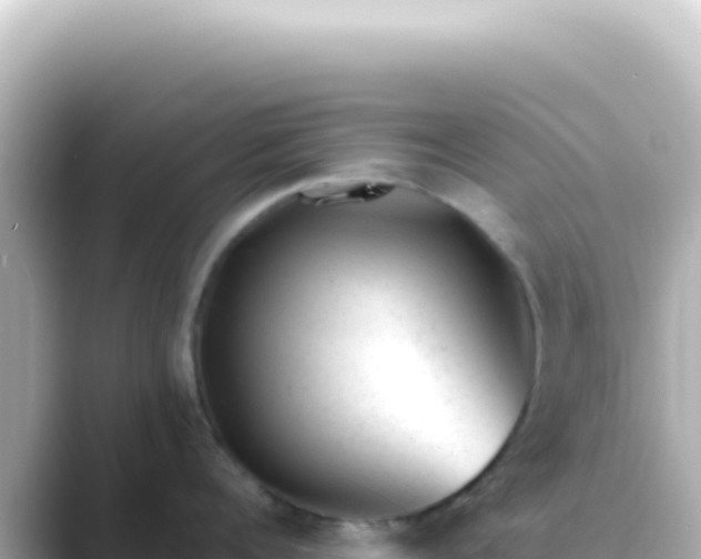 X0000089450960200706221245