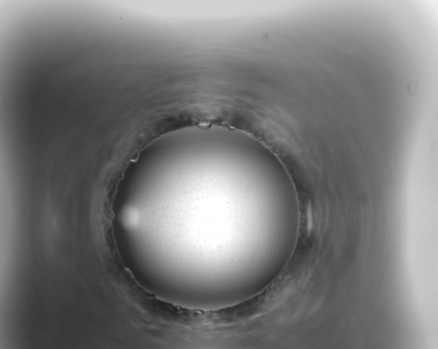 X0000089450961200706221244