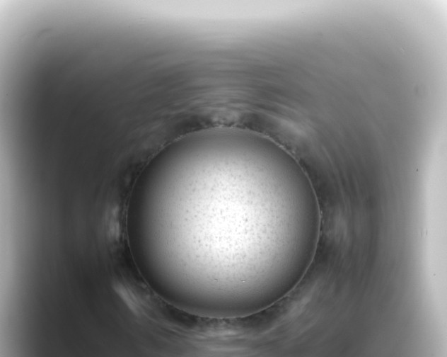 X0000089450962200706221244