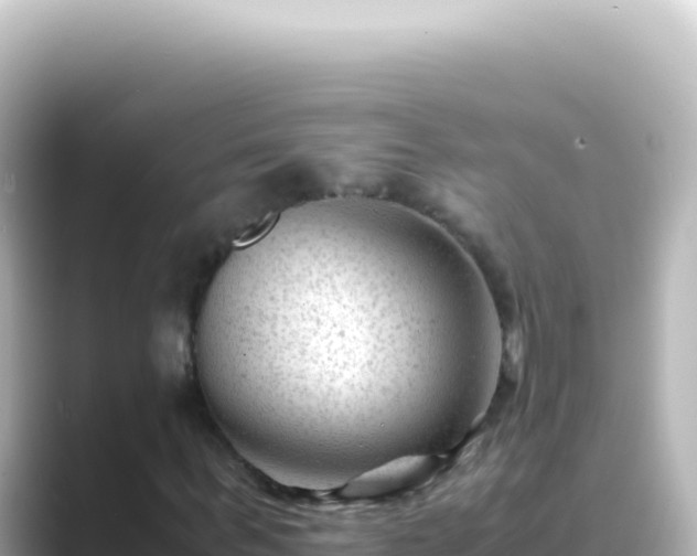 X0000089450963200706221244