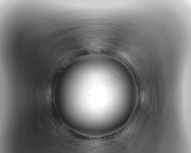 X0000089450964200706221244