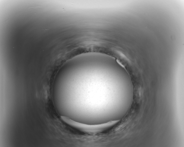 X0000089450965200706221244