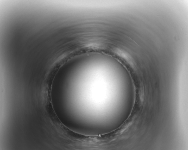 X0000089450968200706221244
