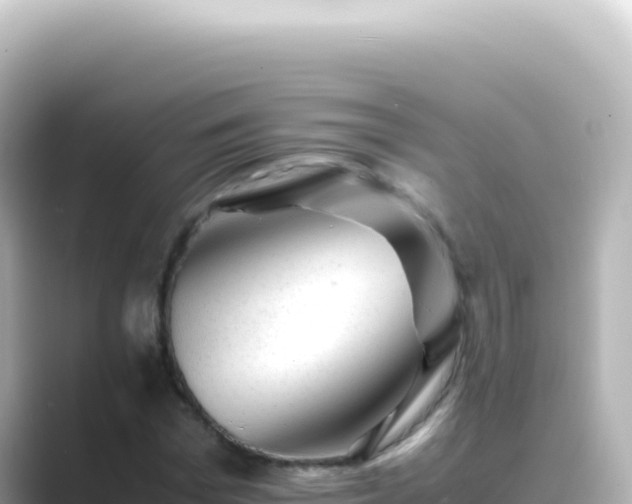 X0000089450969200706221244