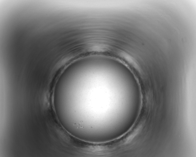 X0000089450970200706221244
