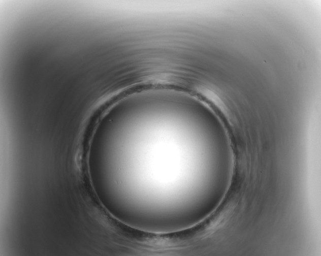 X0000089450971200706221244