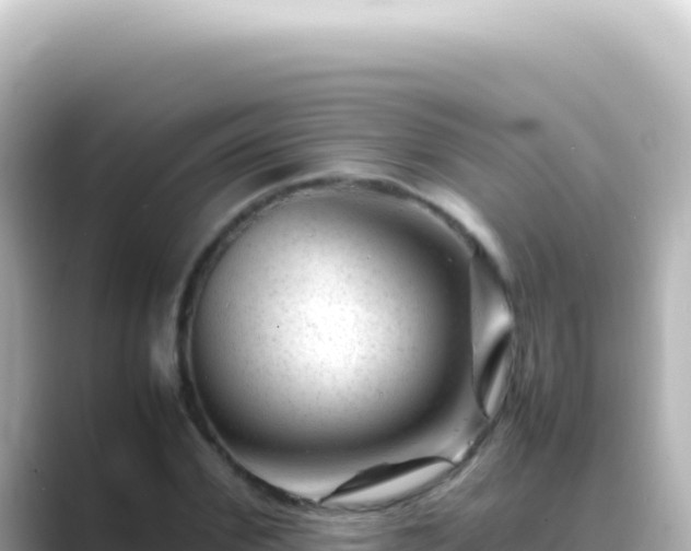 X0000089450972200706221244
