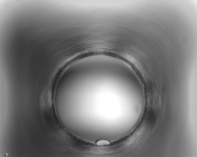 X0000089450973200706221244