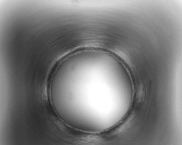 X0000089450974200706221244