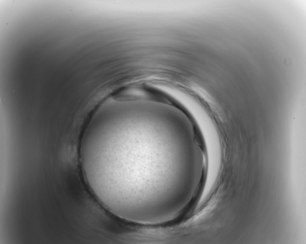 X0000089450977200706221244