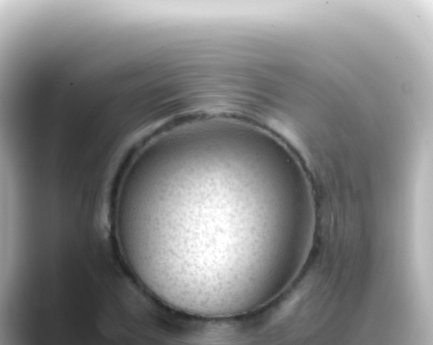 X0000089450979200706221244