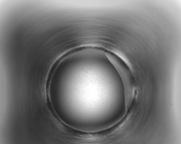 X0000089450980200706221244