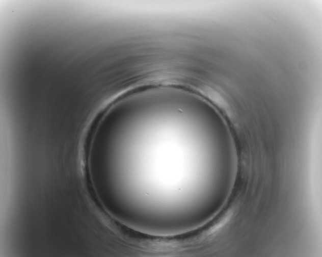 X0000089450981200706221244
