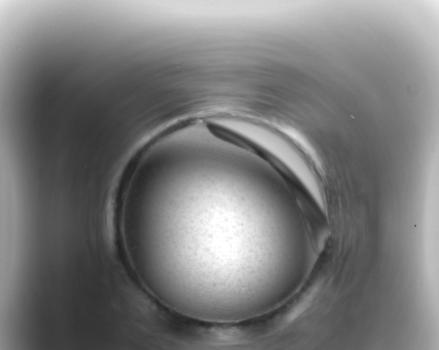 X0000089450983200706221244