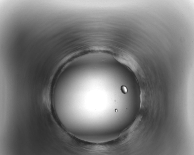 X0000089450984200706221244