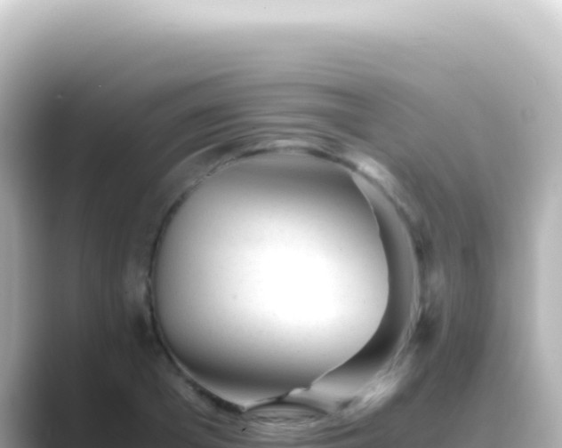 X0000089450985200706221244