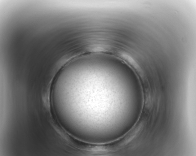 X0000089450986200706221244